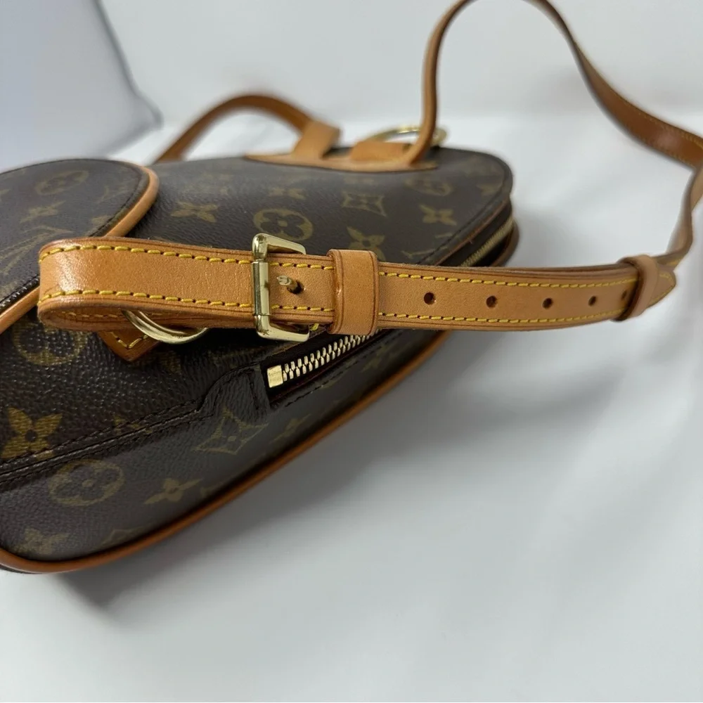 Louis Vuitton Brown and Tan Monogram Backpack